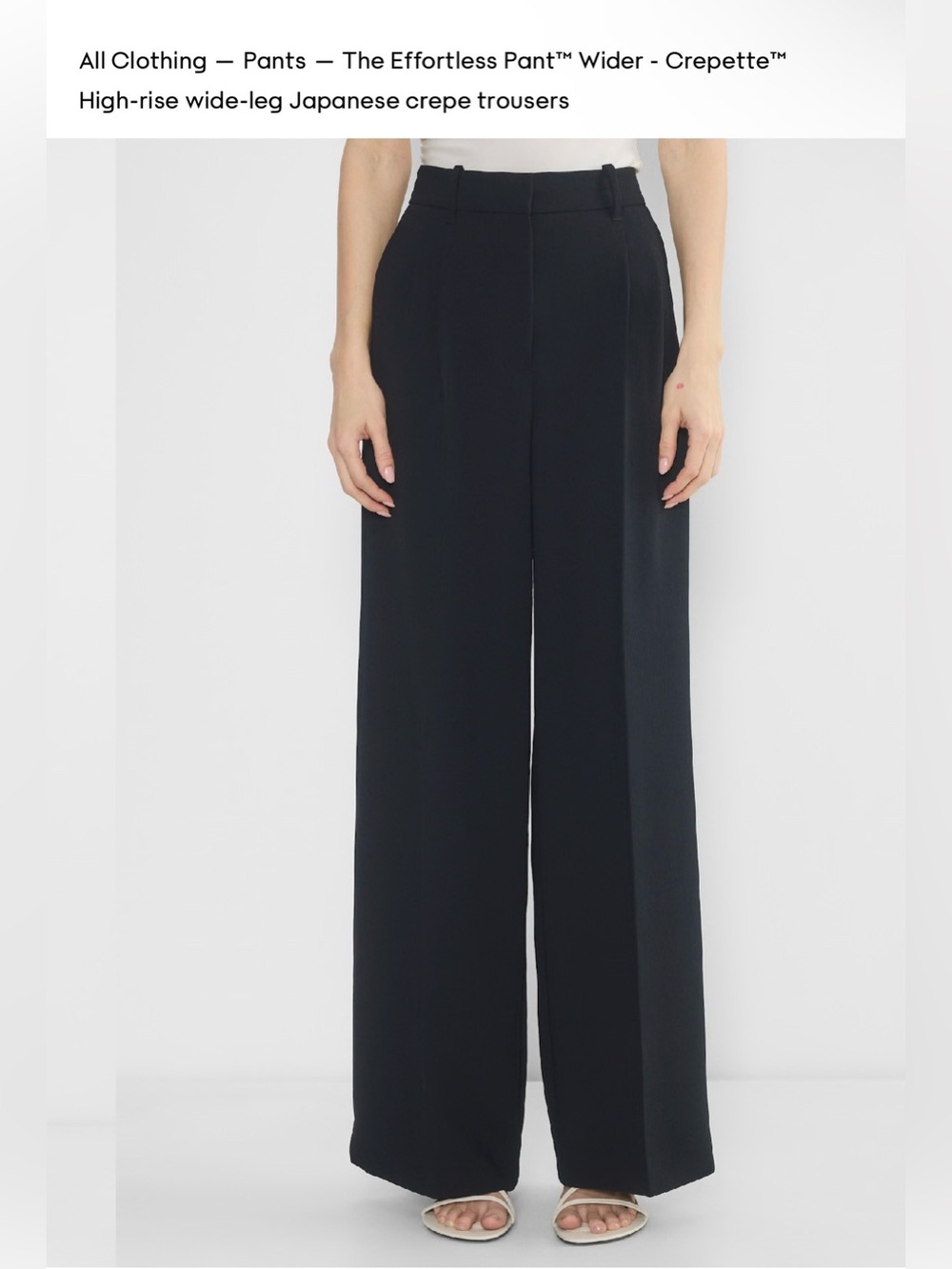 Aritzia Effortless WIDER Trousers in black.